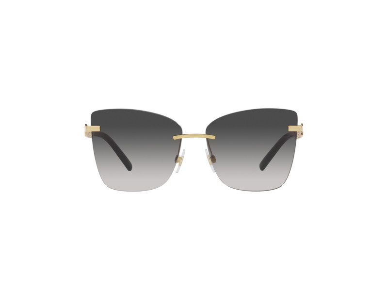 Dolce & Gabbana Solbriller DG 2289 02/8G