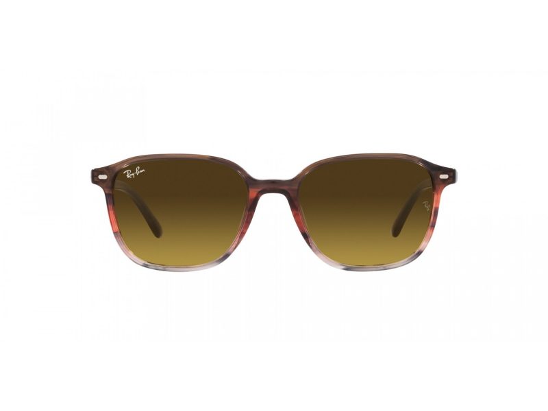 Ray-Ban Leonard Solbriller RB 2193 138085