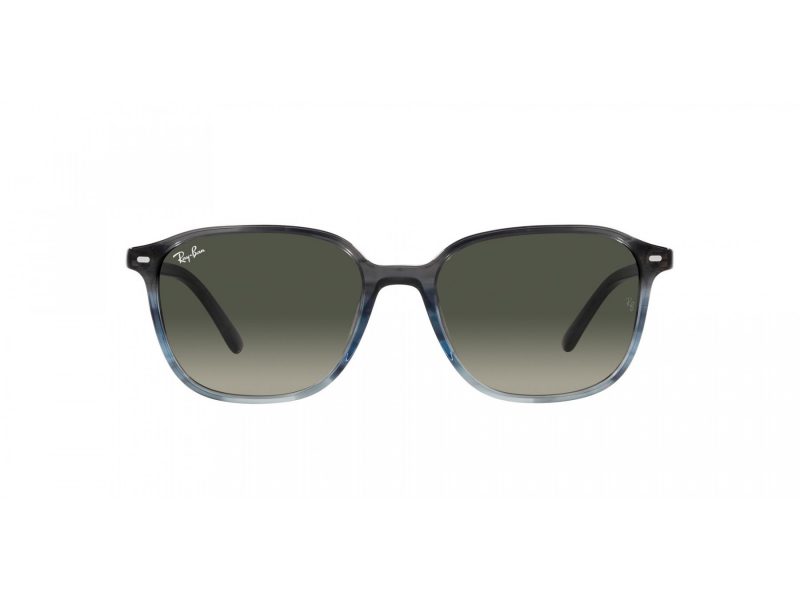 Ray-Ban Leonard Solbriller RB 2193 138171