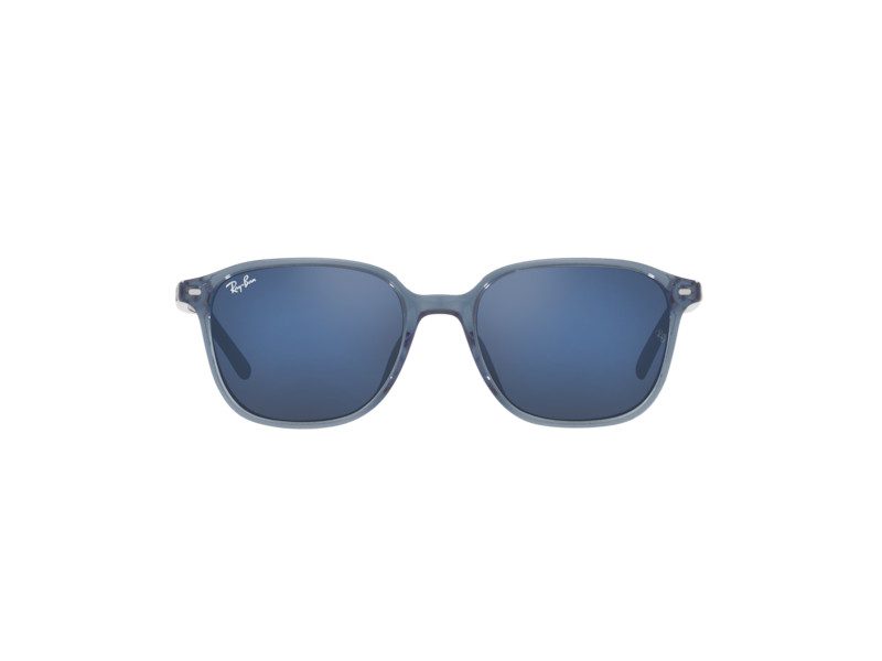 Ray-Ban Leonard Solbriller RB 2193 6638/O4