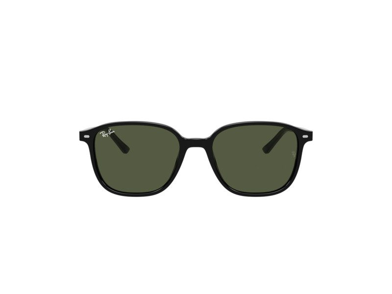 Ray-Ban Leonard Solbriller RB 2193 901/31