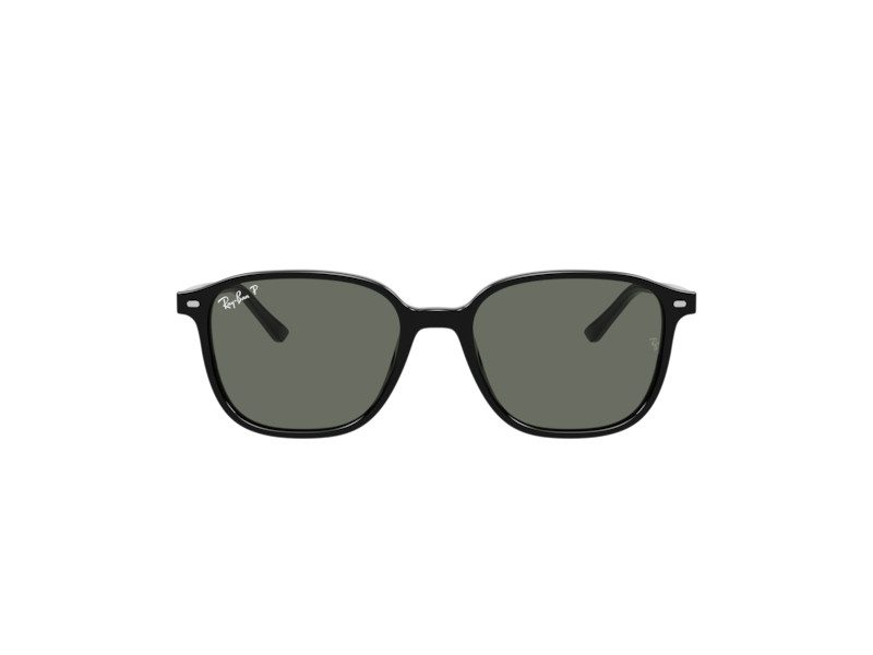 Ray-Ban Leonard Solbriller RB 2193 901/58