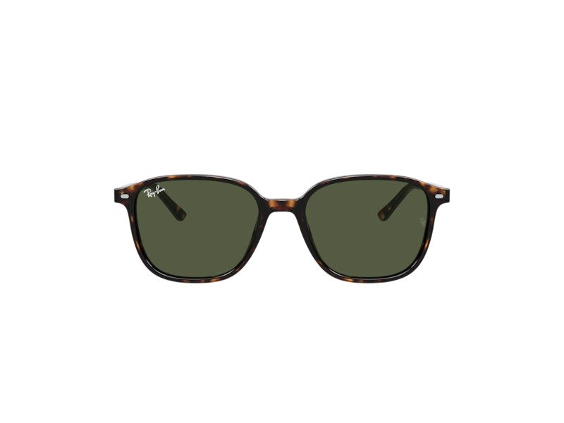 Ray-Ban Leonard Solbriller RB 2193 902/31