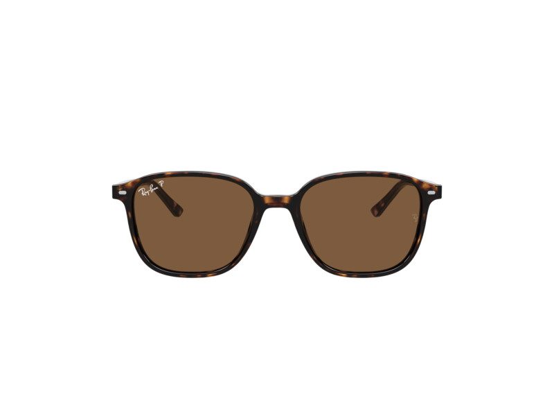 Ray-Ban Leonard Solbriller RB 2193 902/57