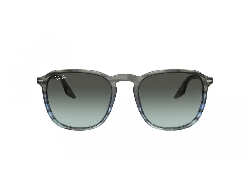 Ray-Ban Solbriller RB 2203 1391GK