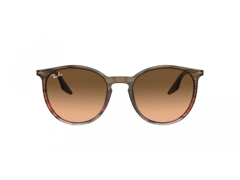 Ray-Ban Solbriller RB 2204 13953B