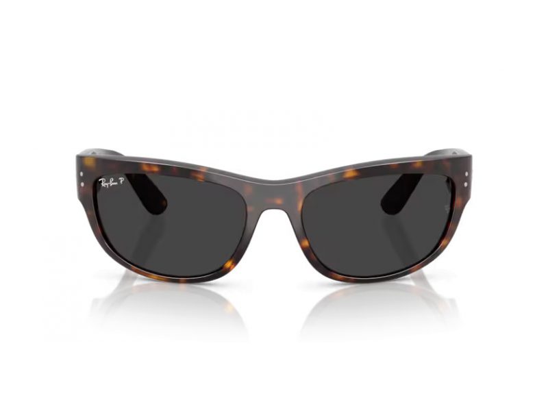 Ray-Ban Mega Balorama Solbriller RB 2289 902/48