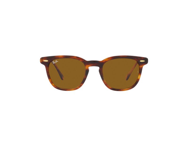 Ray-Ban Hawkeye Solbriller RB 2298 954/33