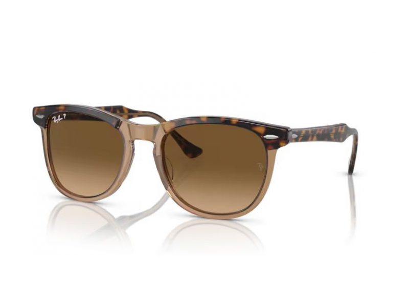 Ray-Ban Eagleeye Solbriller RB 2398 1292M2