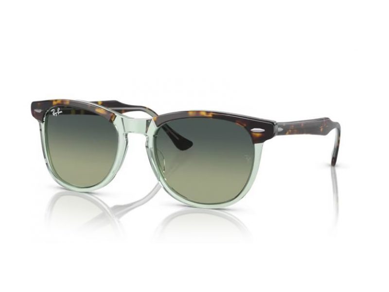 Ray-Ban Eagleeye Solbriller RB 0RB2398 1376BH