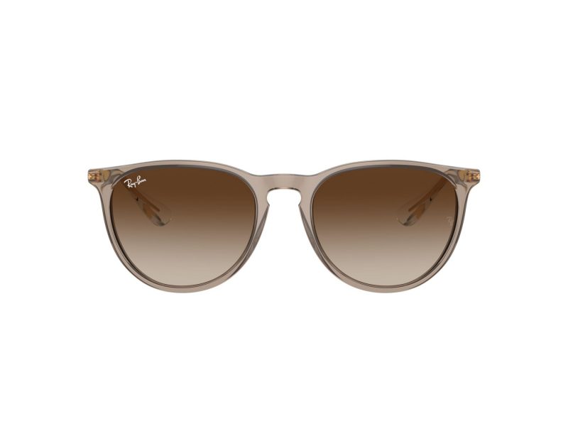 Ray-Ban Erika Solbriller RB 0RB4171 674413