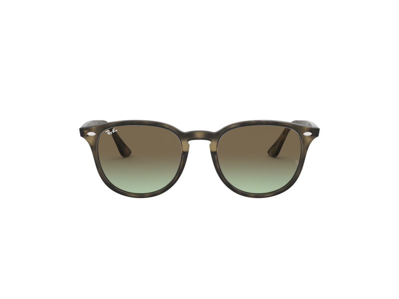 Ray-Ban Solbriller RB 4259 731/E8