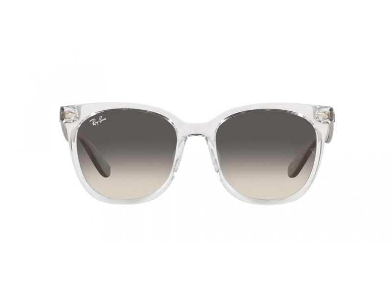 Ray-Ban Solbriller RB 4379D 659811