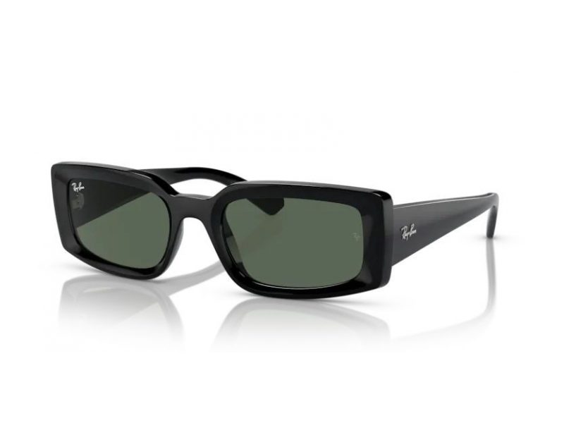 Ray-Ban Warren Solbriller RB 4396 667771