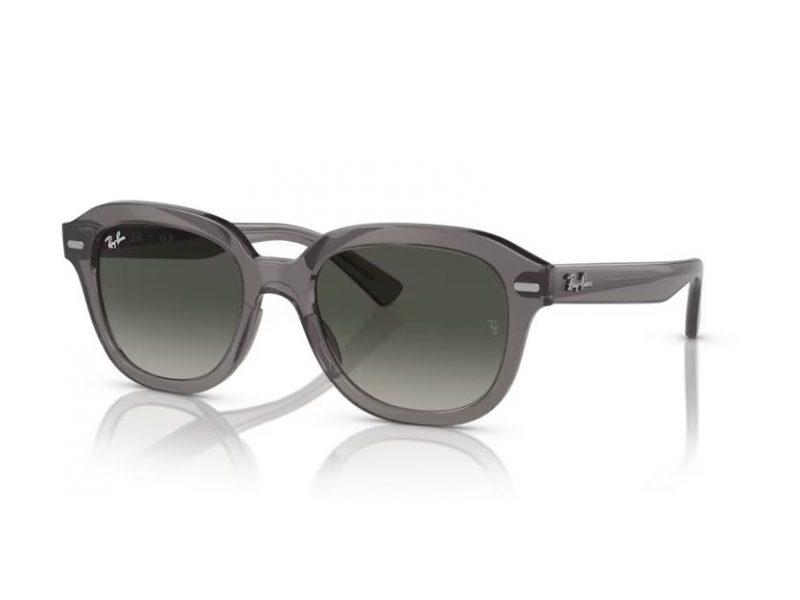 Ray-Ban Erik Solbriller RB 4398 667571