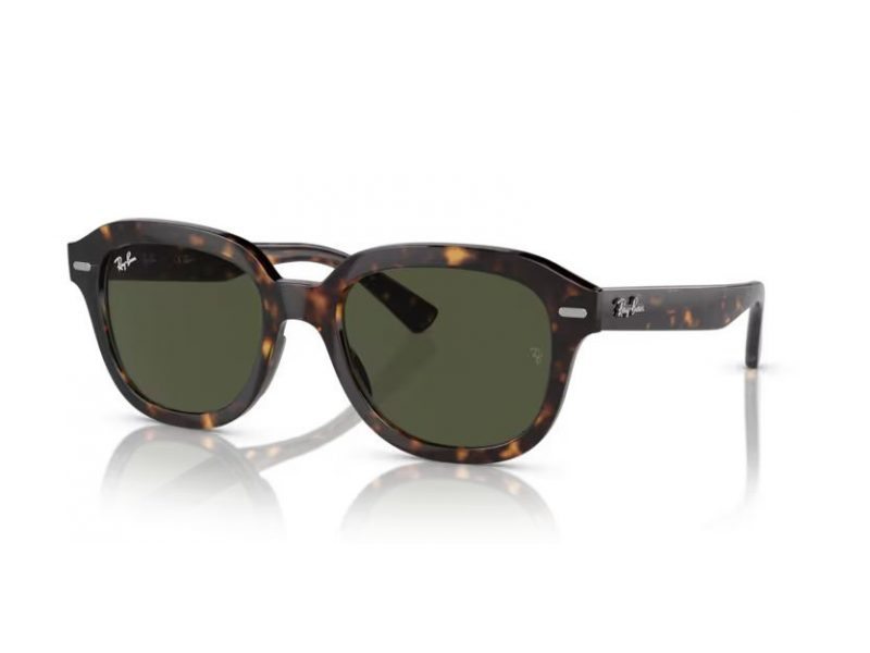 Ray-Ban Erik Solbriller RB 4398 902/31