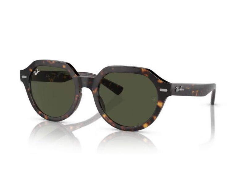 Ray-Ban Gina Solbriller RB 0RB4399 902/31