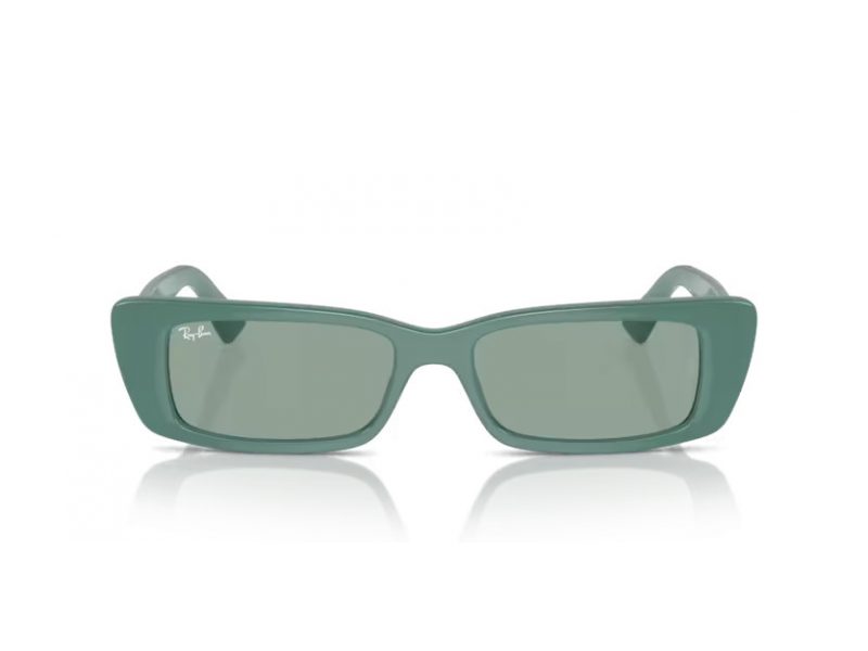 Ray-Ban Teru Solbriller RB 4425 676282