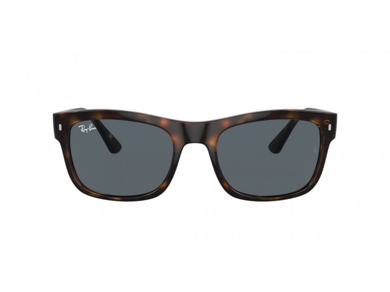 Ray-Ban Solbriller RB 4428 710/R5