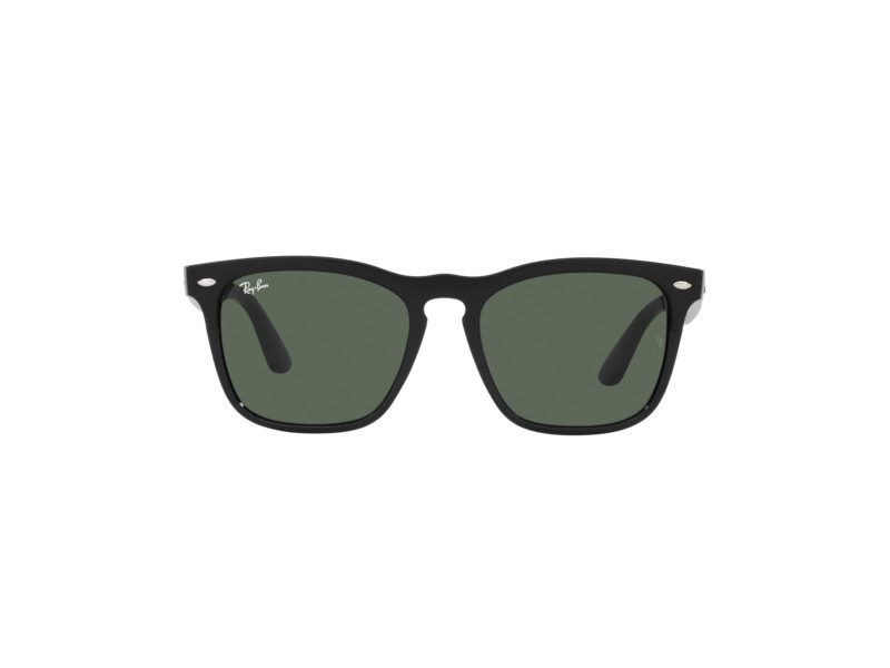 Ray-Ban Steve Solbriller RB 4487 6629/71