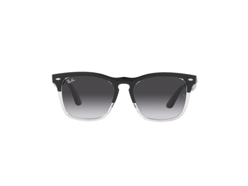 Ray-Ban Steve Solbriller RB 4487 6630/8G