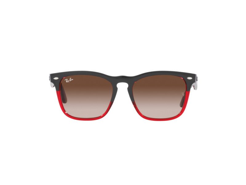 Ray-Ban Steve Solbriller RB 4487 6631/13